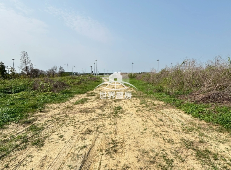 嘉義馬稠後園區稀有土地出售