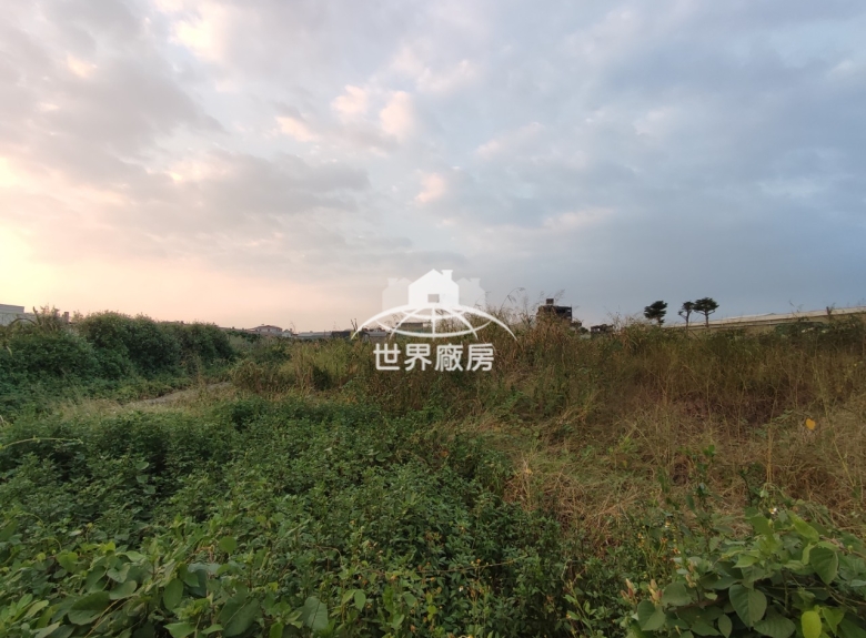 鳥松都市計畫內農地出租