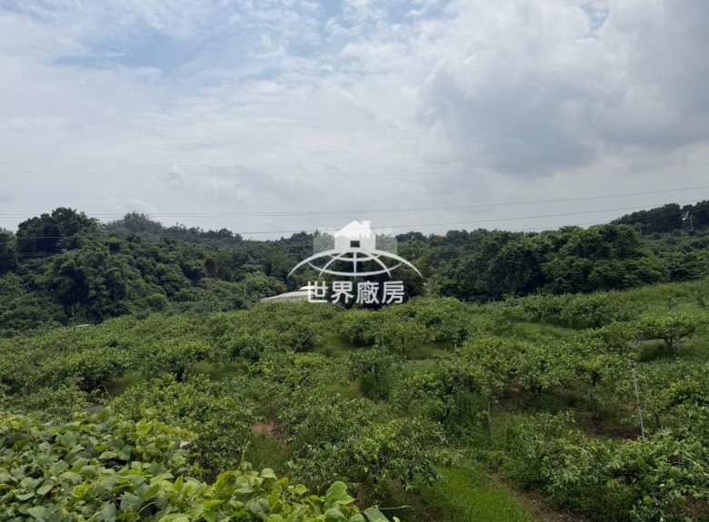 燕巢大面寬土地出售