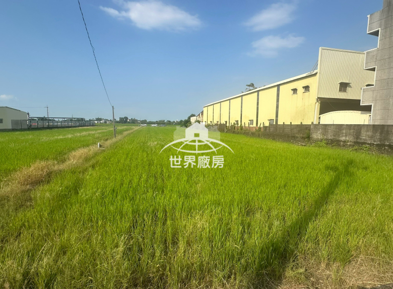 LINE_ALBUM_（售）嘉義縣水上鄉粗溪段粗溪小段420-2地號_260914_6