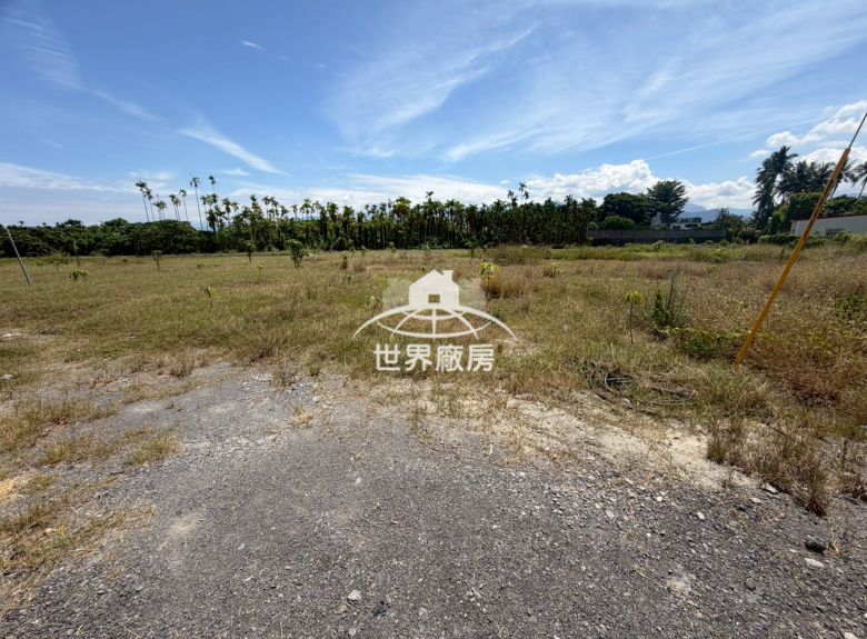 屏東新埤超值土地出租